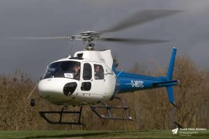 Greenwood Louvre Ltd